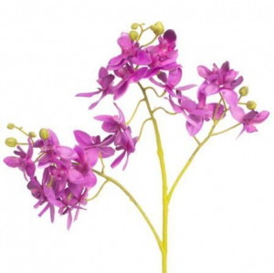 Орхидея ветка мелкая в46 фиолет