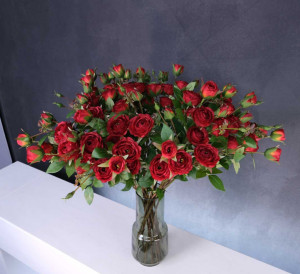 Букет  из 19-ти кустовых роз красный 