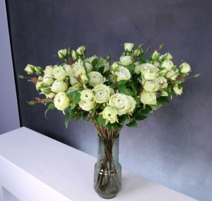 Букет  из 19-ти кустовых роз зеленый 